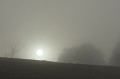 Le soleil apparaît à travers la brume dans la campagne près de Vayrac. dordogne,vayrac,brouillard 