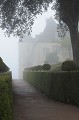 Jardins et château de Marqueyssac dans la brume. dordogne,marqueyssac,brume 